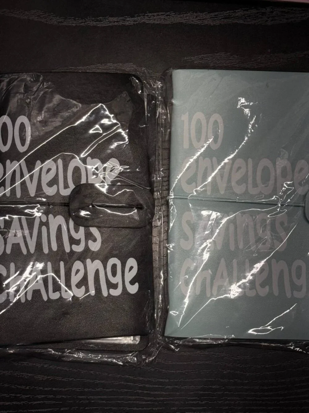 30&100 Envelopes Challenge Binder, Budget Binder Savings Challenges Book